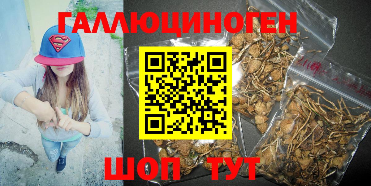 Галлюциногенные грибы прущие грибы Иваново